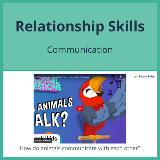 SEL Lesson focusing on Communication to use in your classroom as one of your SEL activities for Relationship Skills