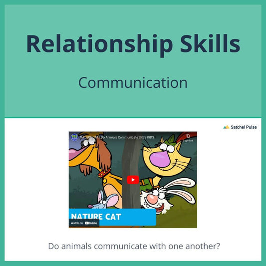 SEL Lesson focusing on Communication to use in your classroom as one of your SEL activities for Relationship Skills