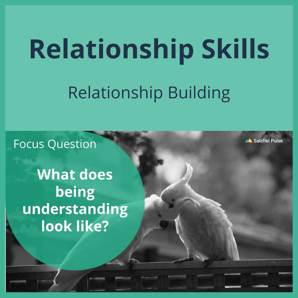 SEL Lesson focusing on Relationship Building to use in your classroom as one of your SEL activities for Relationship Skills