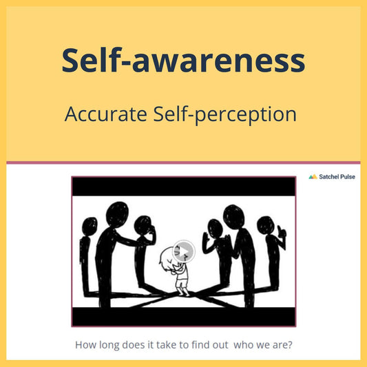 SEL Lesson focusing on Accurate Self-Perception to use in your classroom as one of your SEL activities for Self-Awareness