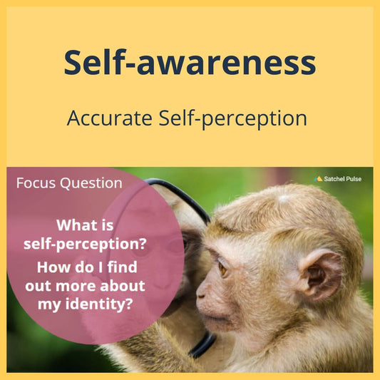 SEL Lesson focusing on Accurate Self-Perception to use in your classroom as one of your SEL activities for Self-Awareness