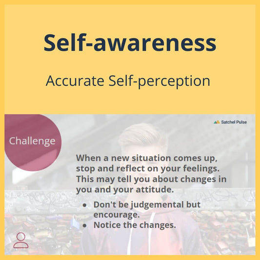 SEL Lesson focusing on Accurate Self-Perception to use in your classroom as one of your SEL activities for Self-Awareness