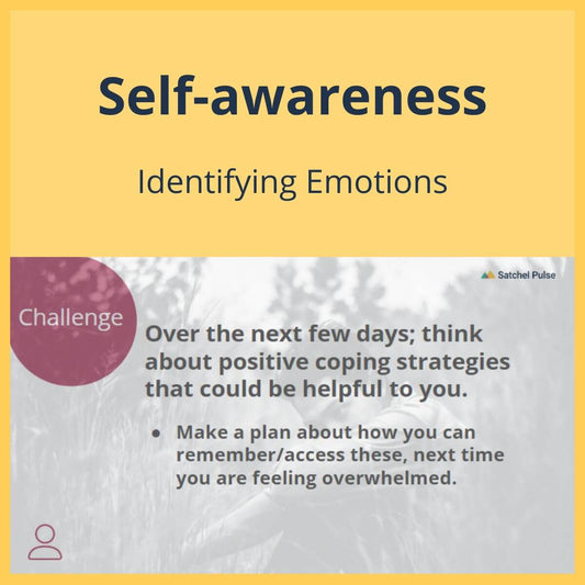 SEL Lesson focusing on Identifying Emotions to use in your classroom as one of your SEL activities for Self-Awareness