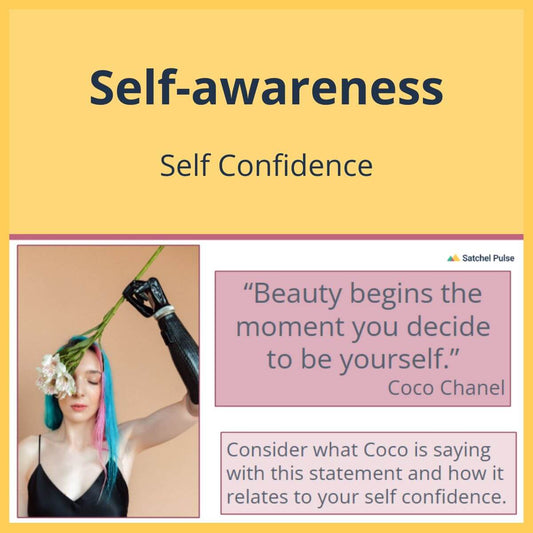 SEL Lesson focusing on Self-Confidence to use in your classroom as one of your SEL activities for Self-Awareness