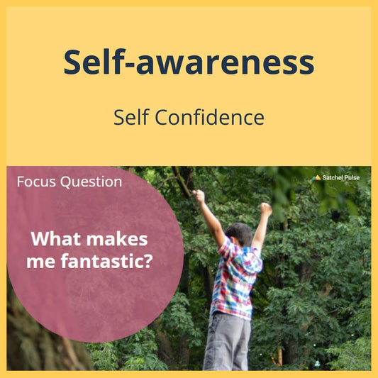 SEL Lesson focusing on Self-Confidence to use in your classroom as one of your SEL activities for Self-Awareness