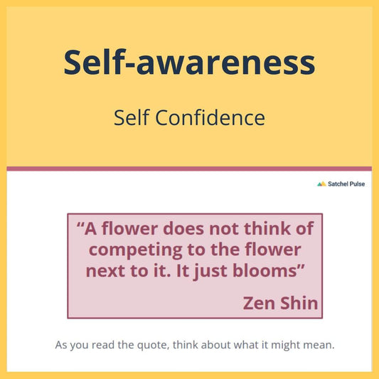 SEL Lesson focusing on Self-Confidence to use in your classroom as one of your SEL activities for Self-Awareness