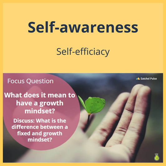 SEL Lesson focusing on Self-Efficacy to use in your classroom as one of your SEL activities for Self-Awareness
