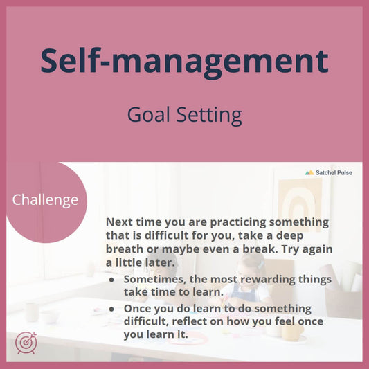 SEL Lesson focusing on Goal Setting to use in your classroom as one of your SEL activities for Self-Management
