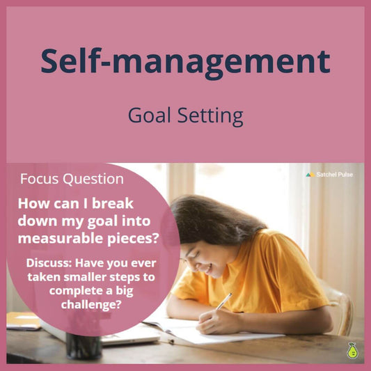 SEL Lesson focusing on Goal Setting to use in your classroom as one of your SEL activities for Self-Management