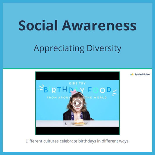 SEL Lesson focusing on Appreciating Diversity to use in your classroom as one of your SEL activities for Social Awareness