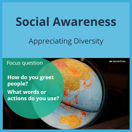 SEL Lesson focusing on Appreciating Diversity to use in your classroom as one of your SEL activities for Social Awareness