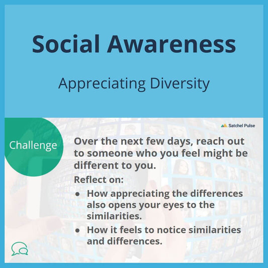 SEL Lesson focusing on Appreciating Diversity to use in your classroom as one of your SEL activities for Social Awareness