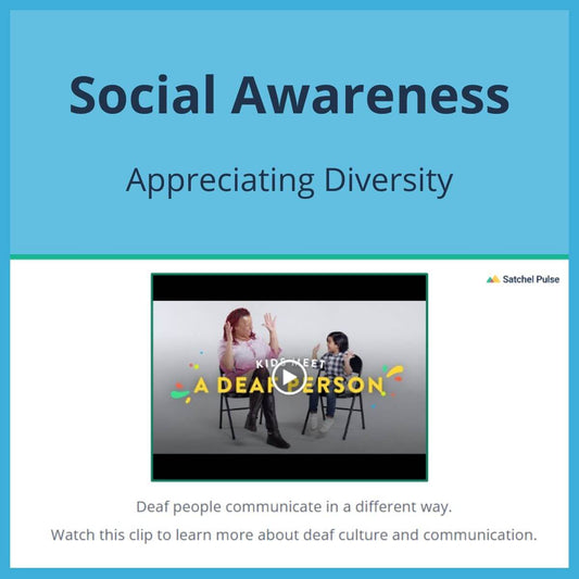 SEL Lesson focusing on Appreciating Diversity to use in your classroom as one of your SEL activities for Social Awareness