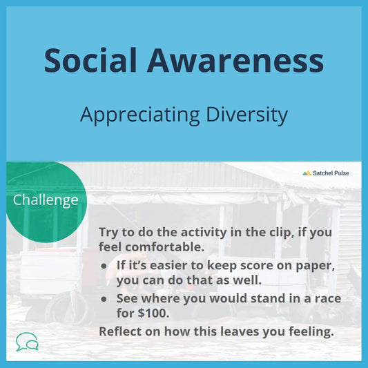 SEL Lesson focusing on Appreciating Diversity to use in your classroom as one of your SEL activities for Social Awareness