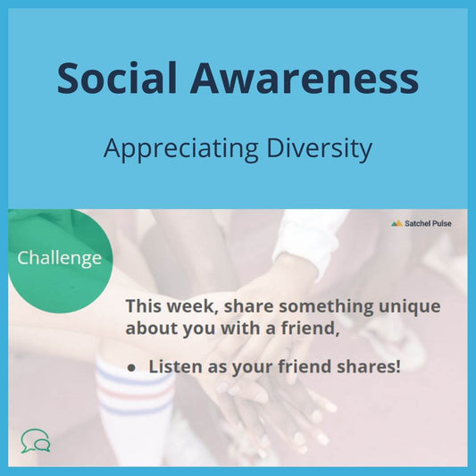 SEL Lesson focusing on Appreciating Diversity to use in your classroom as one of your SEL activities for Social Awareness