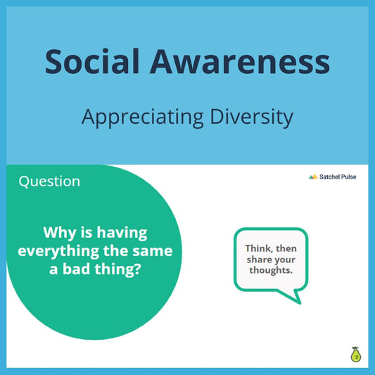 SEL Lesson focusing on Appreciating Diversity to use in your classroom as one of your SEL activities for Social Awareness