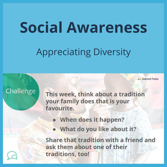 SEL Lesson focusing on Appreciating Diversity to use in your classroom as one of your SEL activities for Social Awareness
