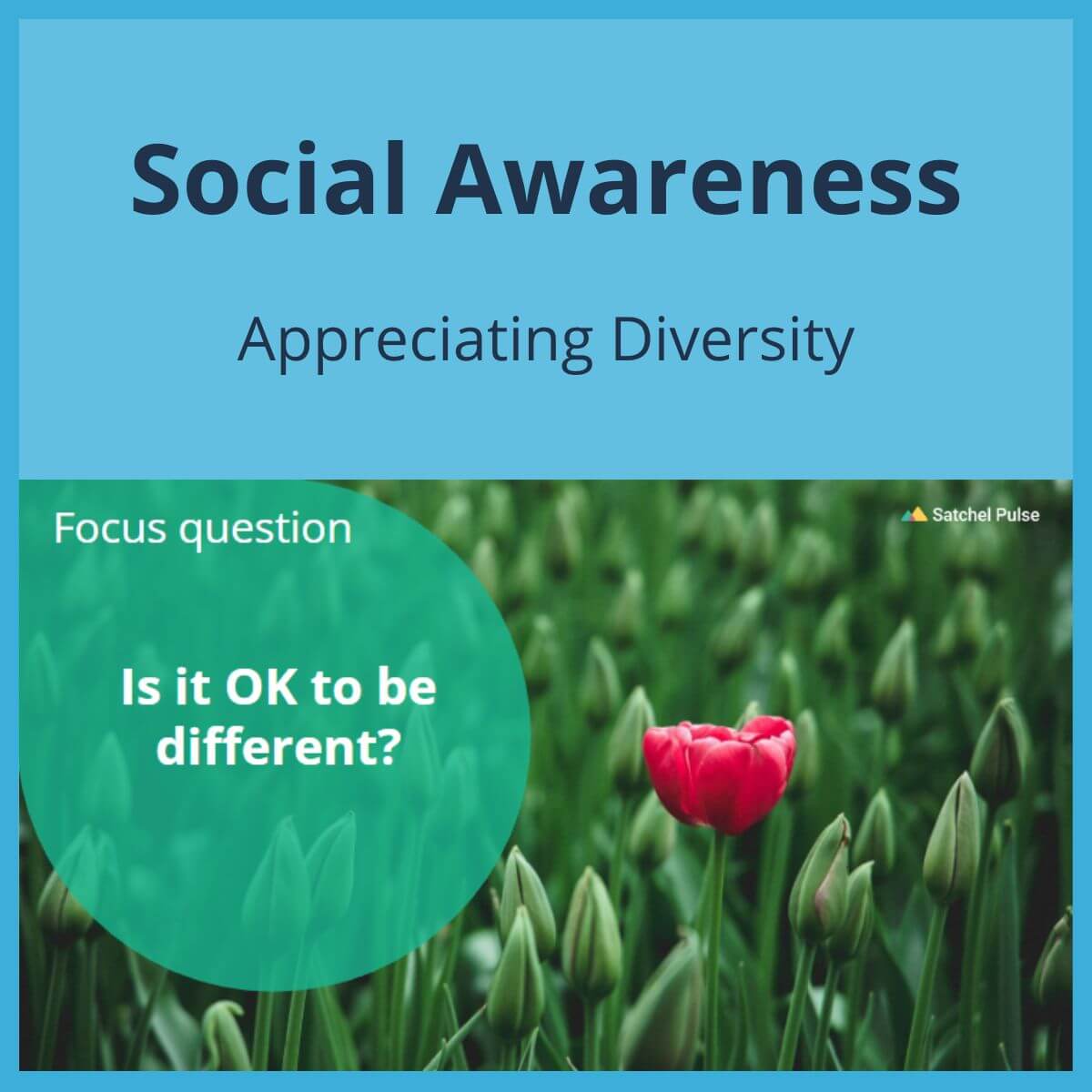 SEL Lesson focusing on Appreciating Diversity to use in your classroom as one of your SEL activities for Social Awareness