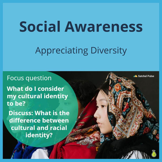 SEL Lesson focusing on Appreciating Diversity to use in your classroom as one of your SEL activities for Social Awareness