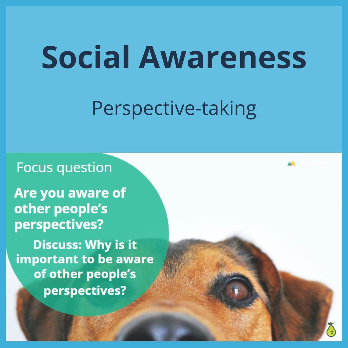 SEL Lesson focusing on Perspective-Taking to use in your classroom as one of your SEL activities for Social Awareness