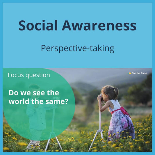 SEL Lesson focusing on Perspective-Taking to use in your classroom as one of your SEL activities for Social Awareness