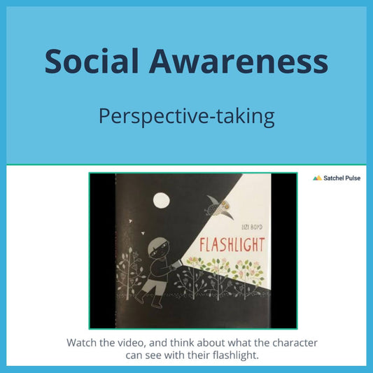 SEL Lesson focusing on Perspective-Taking to use in your classroom as one of your SEL activities for Social Awareness