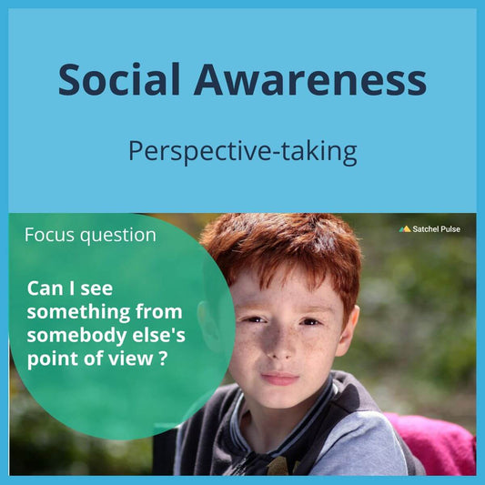 SEL Lesson focusing on Perspective-Taking to use in your classroom as one of your SEL activities for Social Awareness