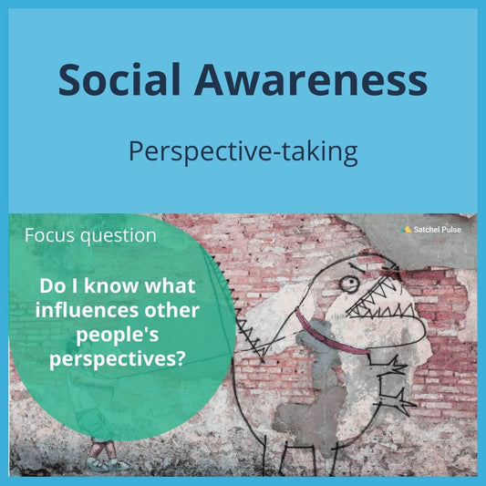 SEL Lesson focusing on Perspective-Taking to use in your classroom as one of your SEL activities for Social Awareness