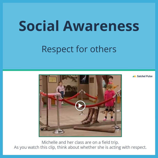 SEL Lesson focusing on Respect for Others to use in your classroom as one of your SEL activities for Social Awareness