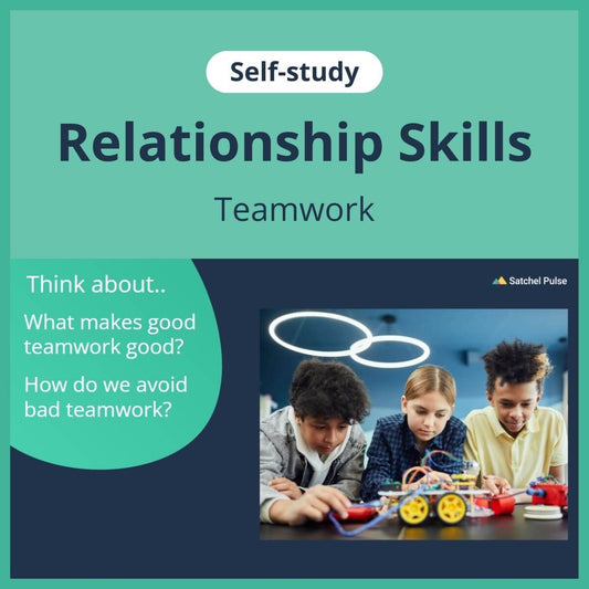 SEL self-study focusing on Team Work to use in your classroom as one of your SEL activities for Relationship Skills