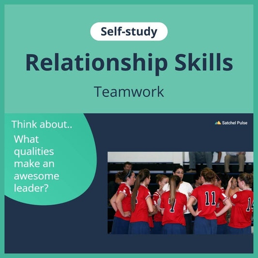 SEL self-study focusing on Team Work to use in your classroom as one of your SEL activities for Relationship Skills