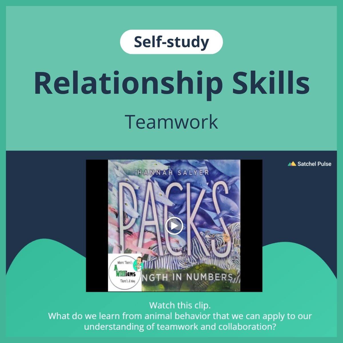 SEL self-study focusing on Team Work to use in your classroom as one of your SEL activities for Relationship Skills