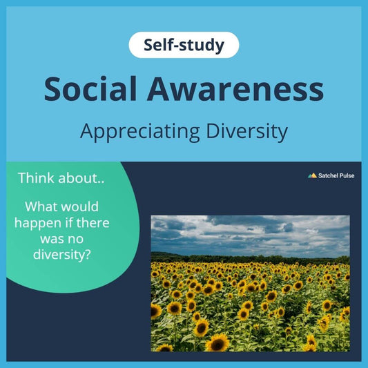 SEL self-study focusing on Appreciating Diversity to use in your classroom as one of your SEL activities for Social Awareness