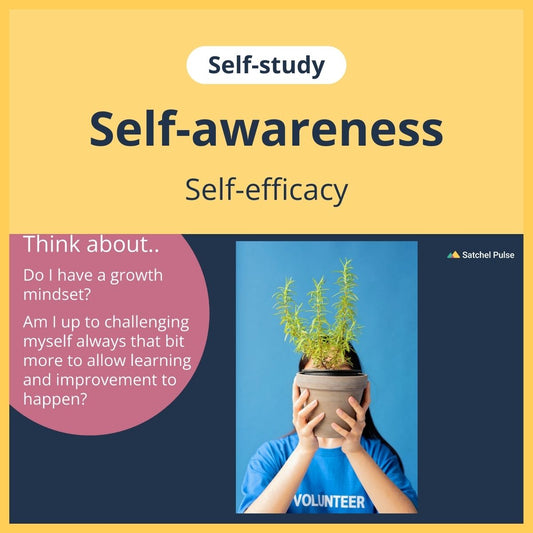 SEL self-study focusing on Self-Efficacy to use in your classroom as one of your SEL activities for Self-Awareness