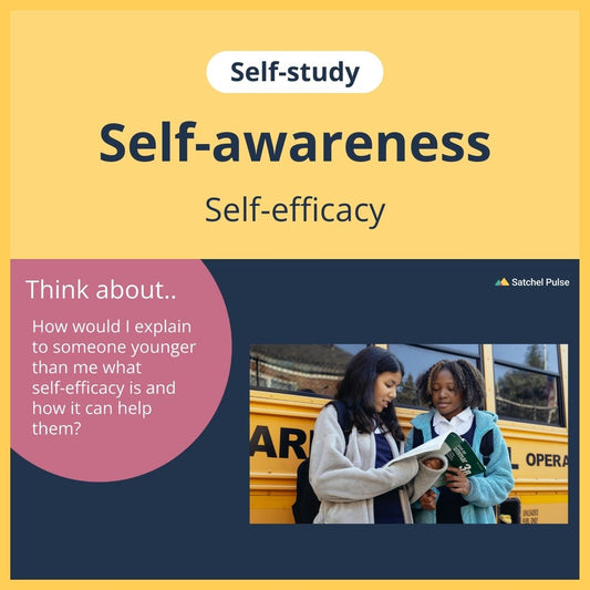 SEL self-study focusing on Self-Efficacy to use in your classroom as one of your SEL activities for Self-Awareness