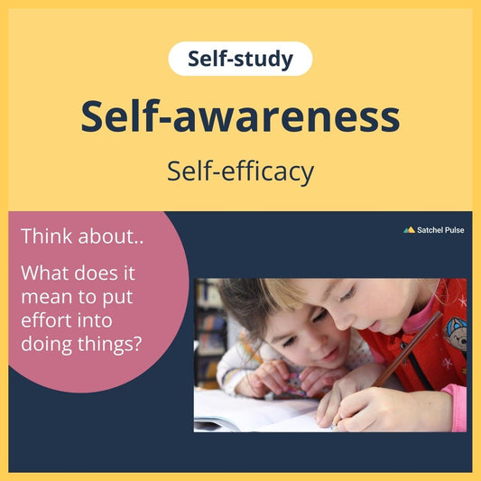 SEL self-study focusing on Self-Efficacy to use in your classroom as one of your SEL activities for Self-Awareness