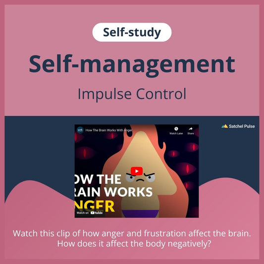 SEL self-study focusing on Impulse Control to use in your classroom as one of your SEL activities for Self-Management
