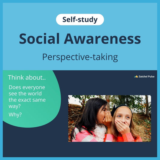 SEL self-study focusing on Perspective-Taking to use in your classroom as one of your SEL activities for Social Awareness
