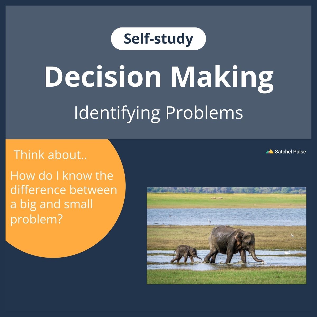 Problem Vs. Self SEL Self-study: Identifying problems 2 - Little problems vs. big probl ...