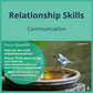 SEL Lesson focusing on Communication to use in your classroom as one of your SEL activities for Relationship Skills