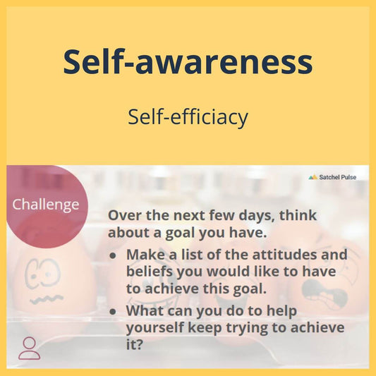 SEL Lesson focusing on Self-Efficacy to use in your classroom as one of your SEL activities for Self-Awareness