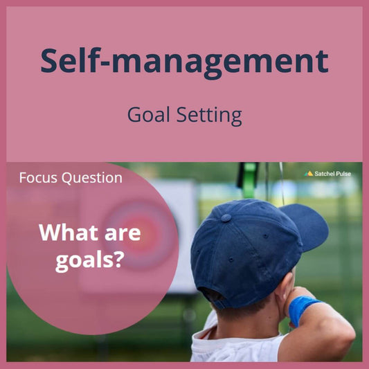 SEL Lesson focusing on Goal Setting to use in your classroom as one of your SEL activities for Self-Management