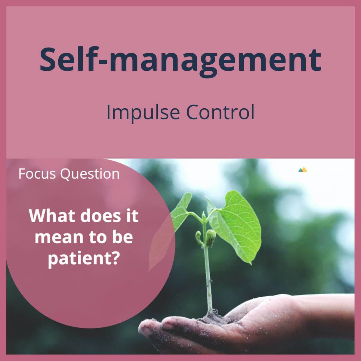 SEL Lesson focusing on Impulse Control to use in your classroom as one of your SEL activities for Self-Management