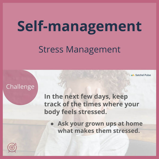 SEL Lesson focusing on Stress Management to use in your classroom as one of your SEL activities for Self-Management