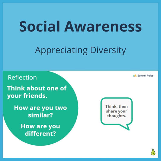 SEL Lesson focusing on Appreciating Diversity to use in your classroom as one of your SEL activities for Social Awareness