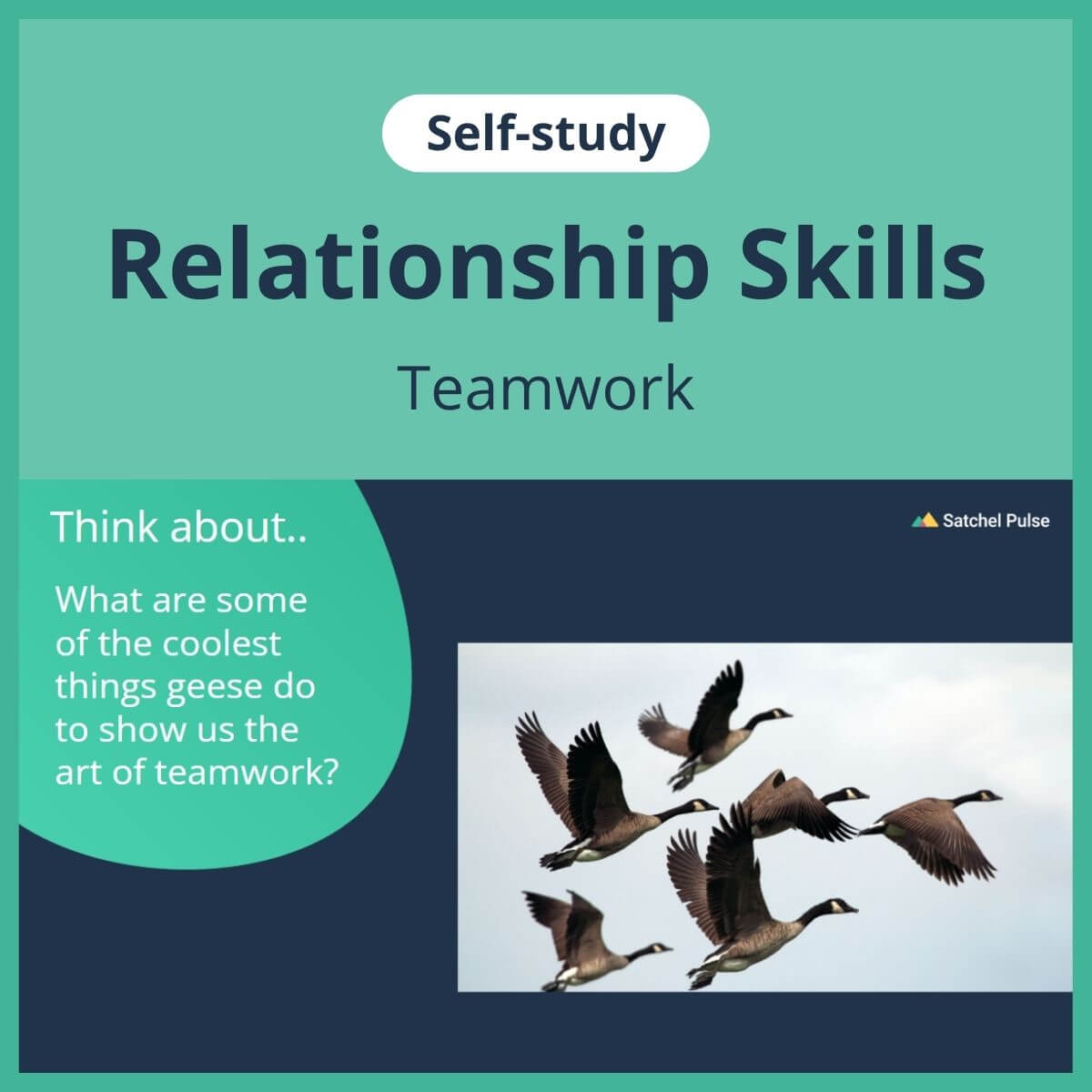 SEL self-study focusing on Team Work to use in your classroom as one of your SEL activities for Relationship Skills
