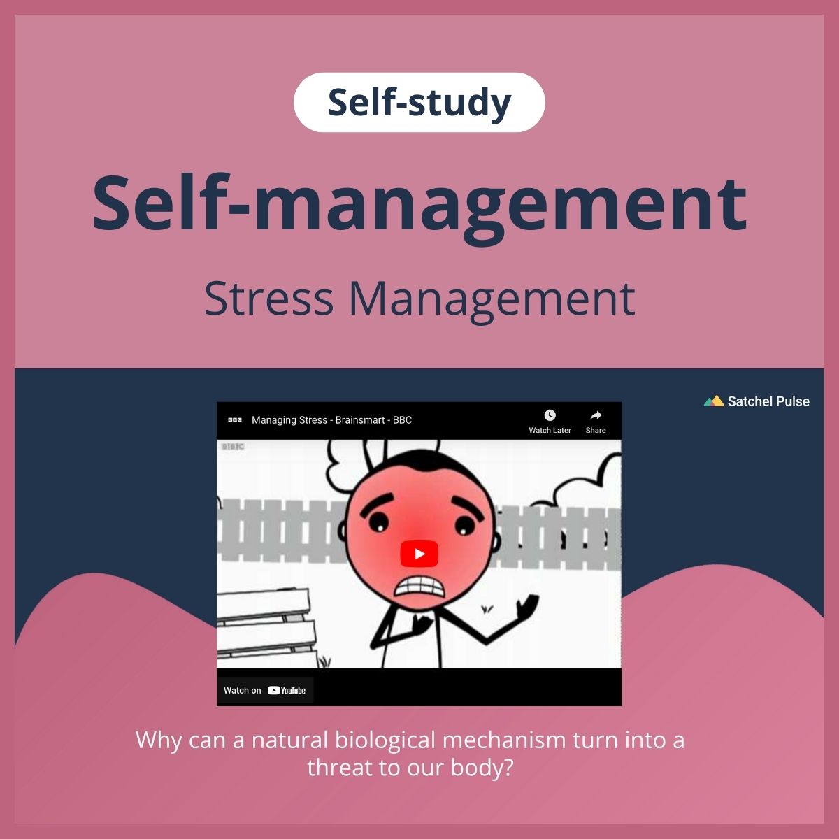 SEL self-study focusing on Stress Management to use in your classroom as one of your SEL activities for Self-Management